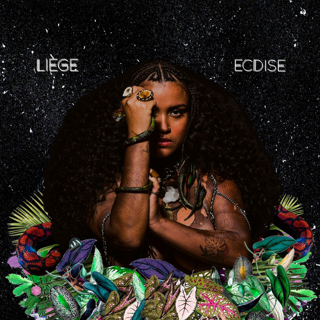 ECDISE cover art