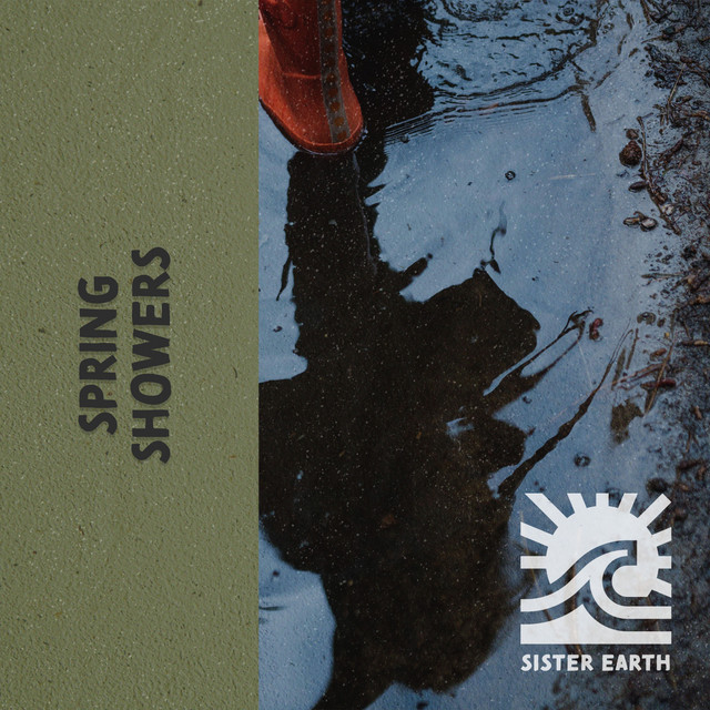 Spring Showers: It's Raining in the Forest cover art