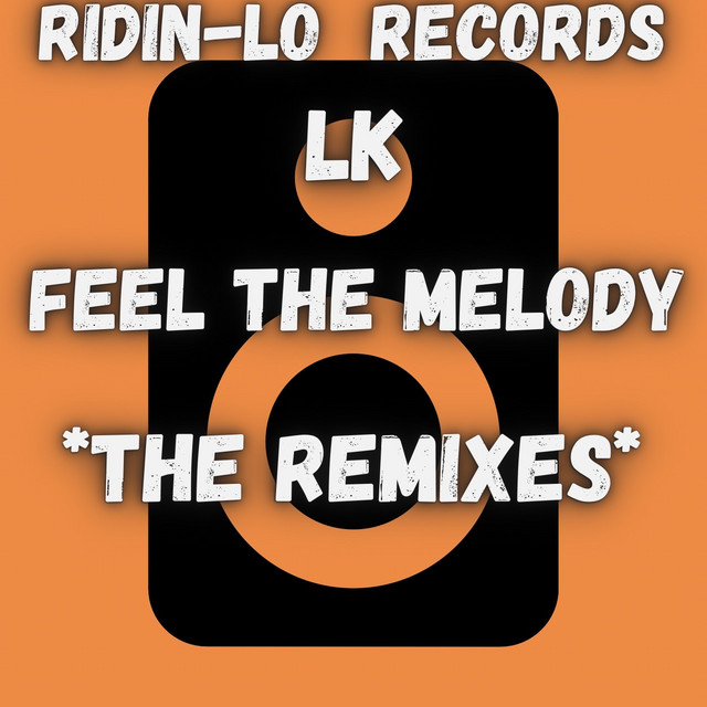 Feel The Melody Remix - Dmize Original Mix album art