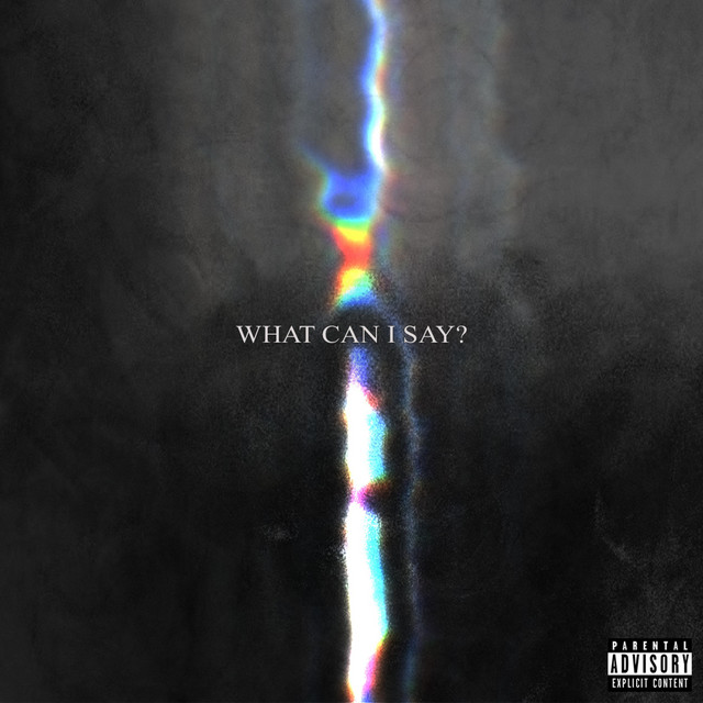 What Can I Say? cover art