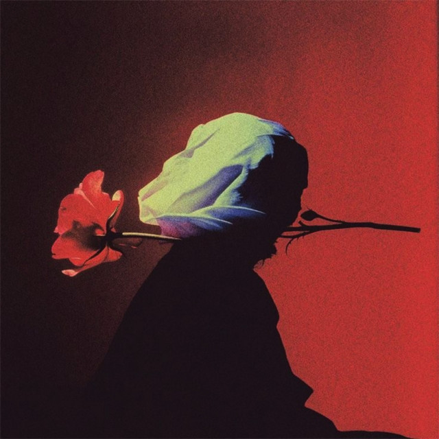 Sia vibes