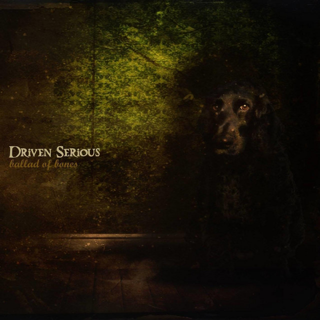 Ballad of Bones cover