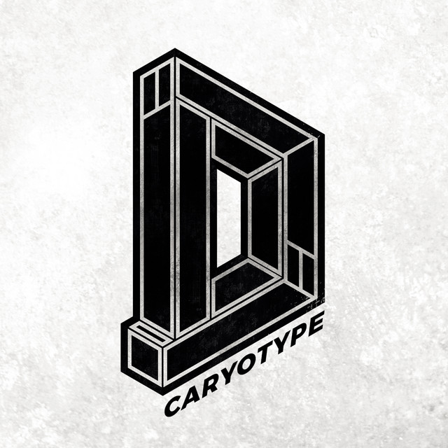 Caryotype cover art