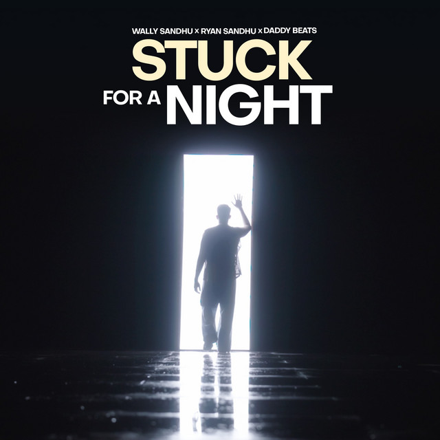 Stuck For A Night by Ryan Sandhu