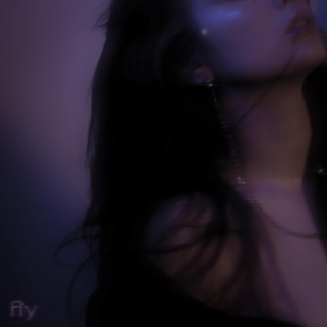 fly cover art