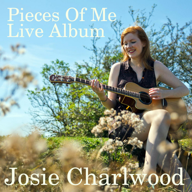Pieces of Me - Live Album cover art