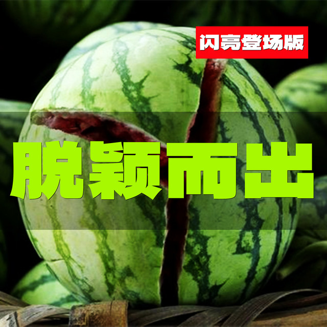 멜론 음악 이미지