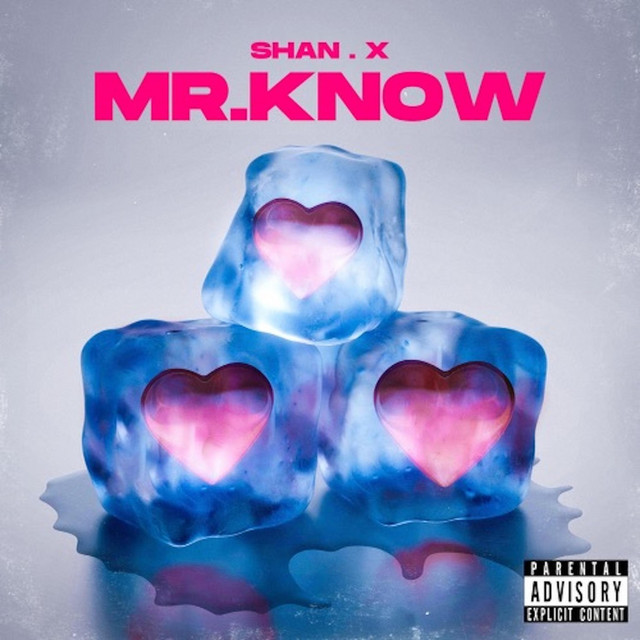Mr. Know - Single by Shan.X | Spotify