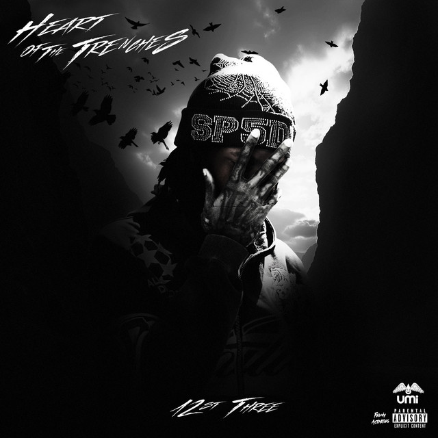 Heart Of The Trenches cover art