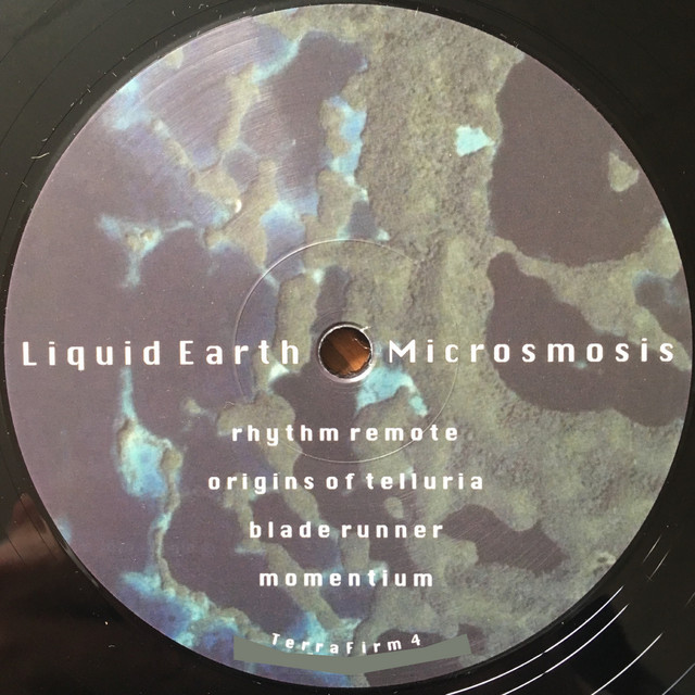 (TerraFirm 4) Liquid Earth - Microsmosis cover
