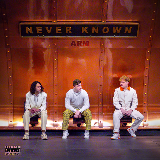 Never Known cover art
