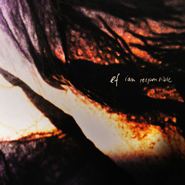 I Am Responsible cover art