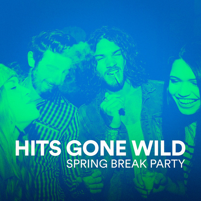 Hits Gone Wild (Spring Break Party) cover art