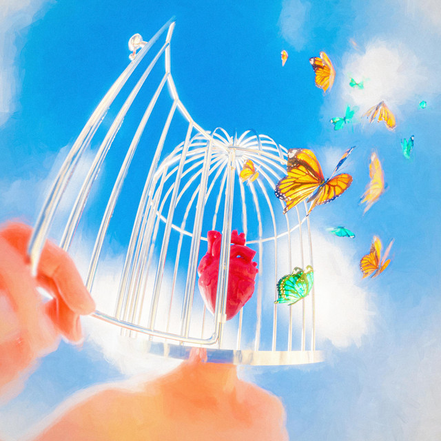 Set You Free cover art