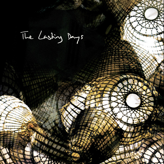 We Simplify cover art