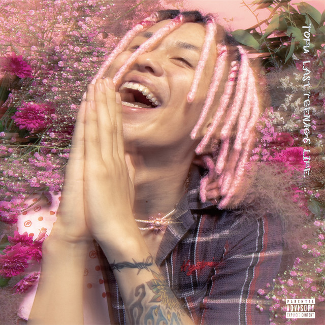 LAST TEENAGE LIFE cover art