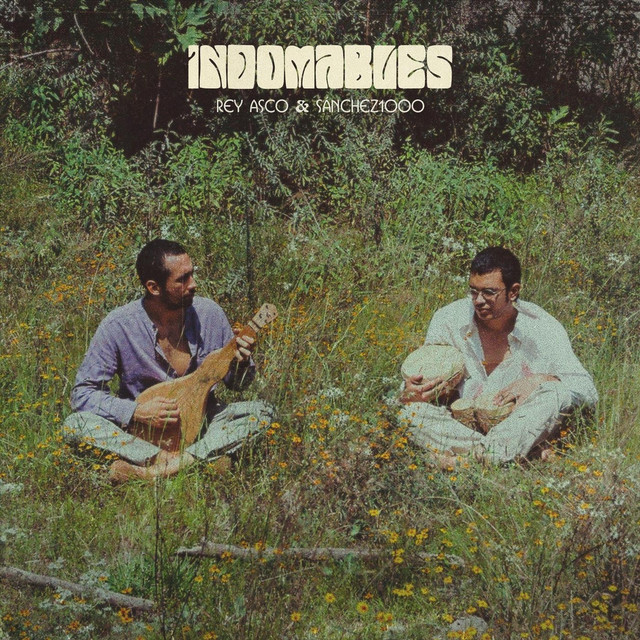 Indomables cover art