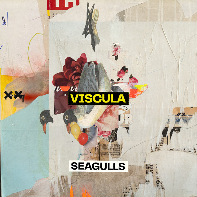 Обкладинка: Seagulls — Viscula