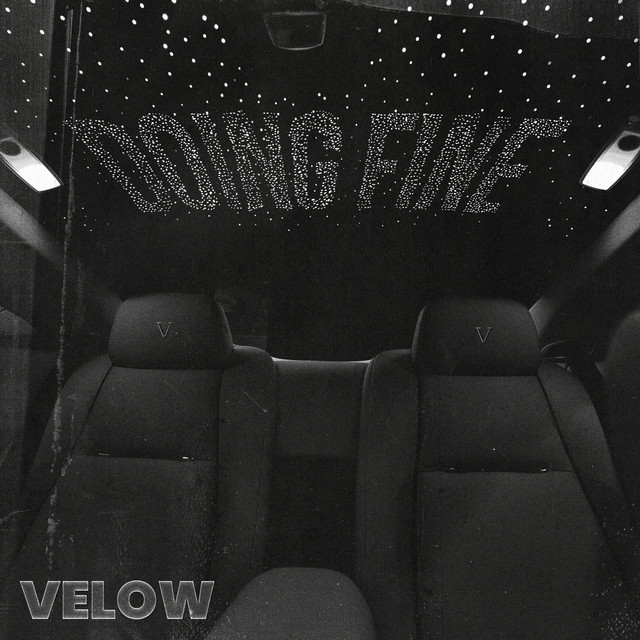 Doing Fine cover art