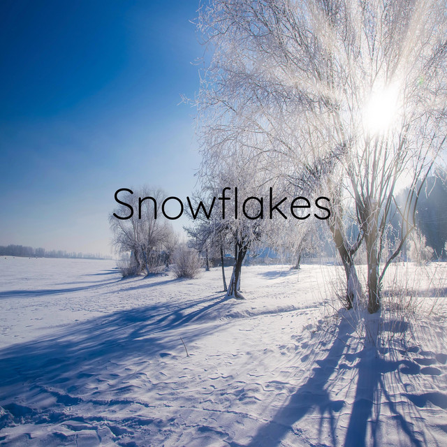 Matthias Schneiders – Snowflakes