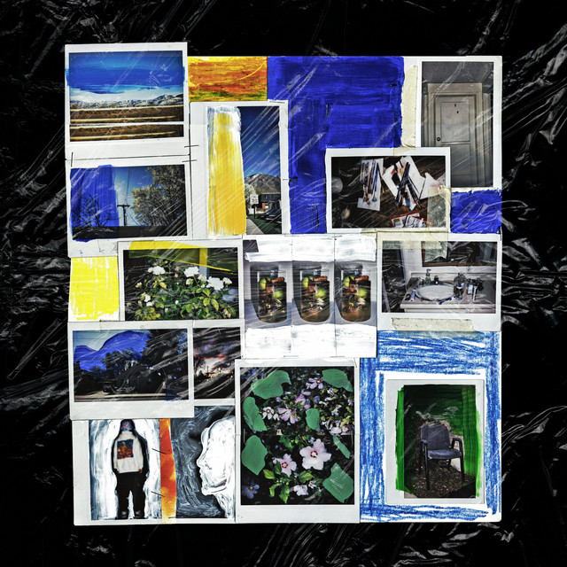 Polaroid cover art