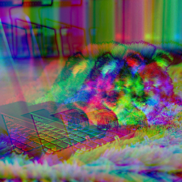 Music for Unwinding Pups - Jazz Quintet cover art