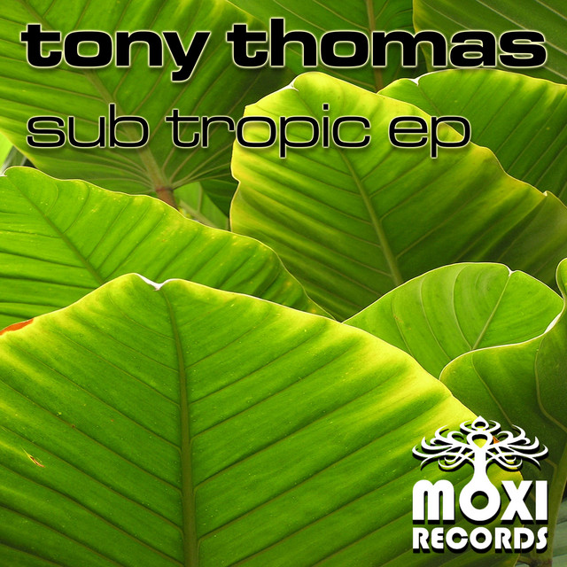 Sub Tropic album art
