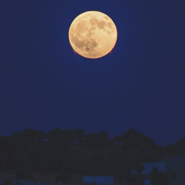 Midnight cover