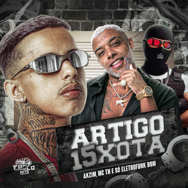 Artigo 15Xota