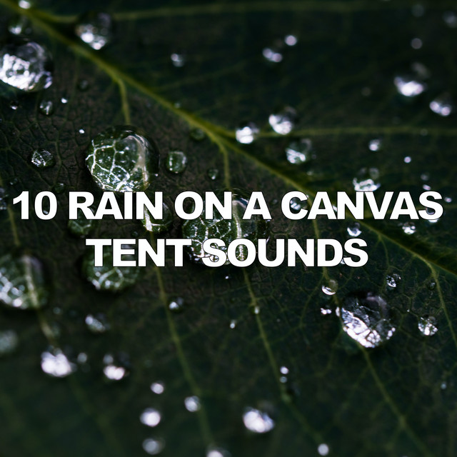 10 Rain On A Canvas Tent Sounds cover art