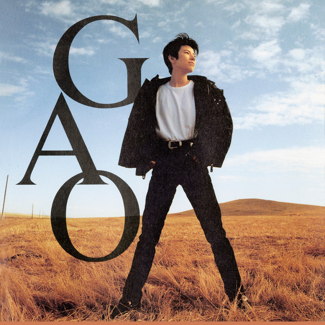 GAO cover art