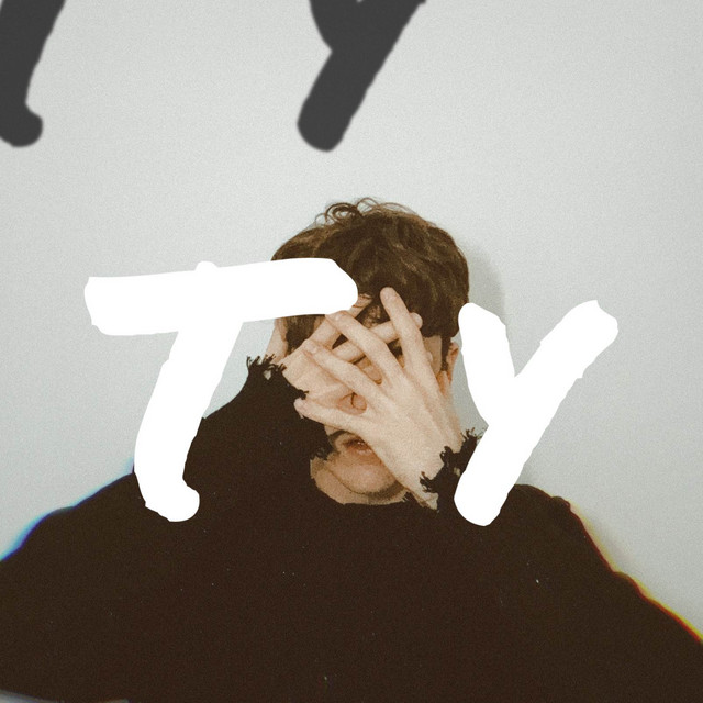 Ty cover art
