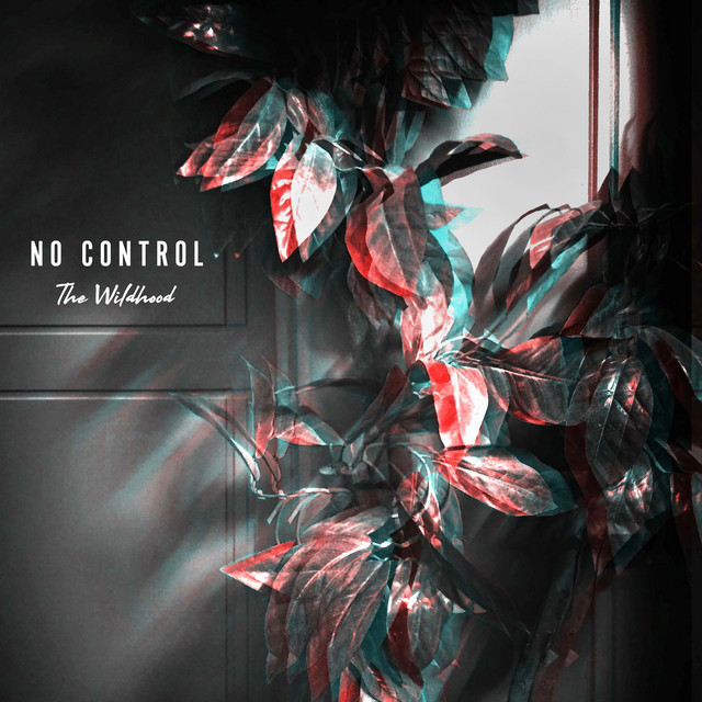 No Control cover art