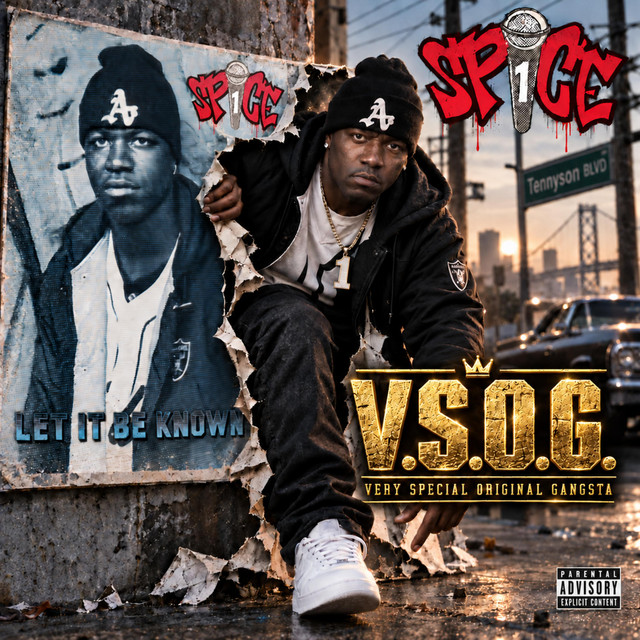 V.S.O.G