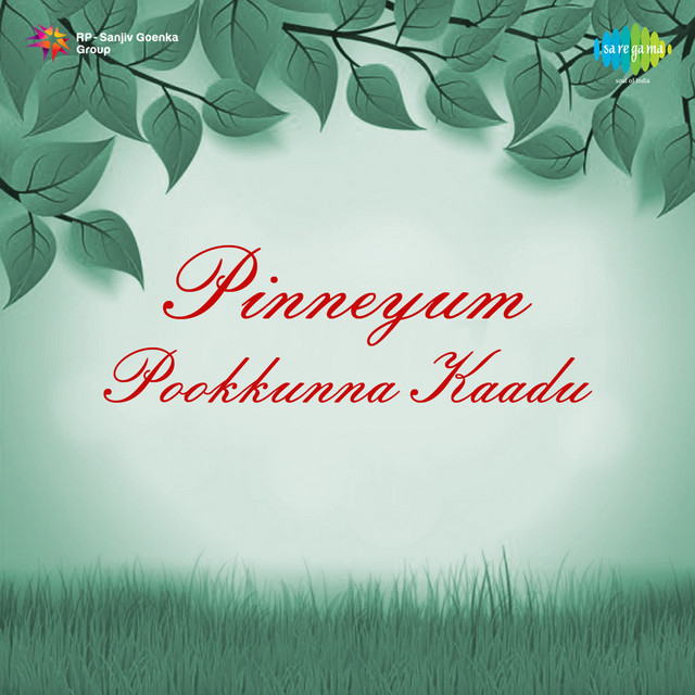 Pinneyum Pookkunna Kaadu cover art