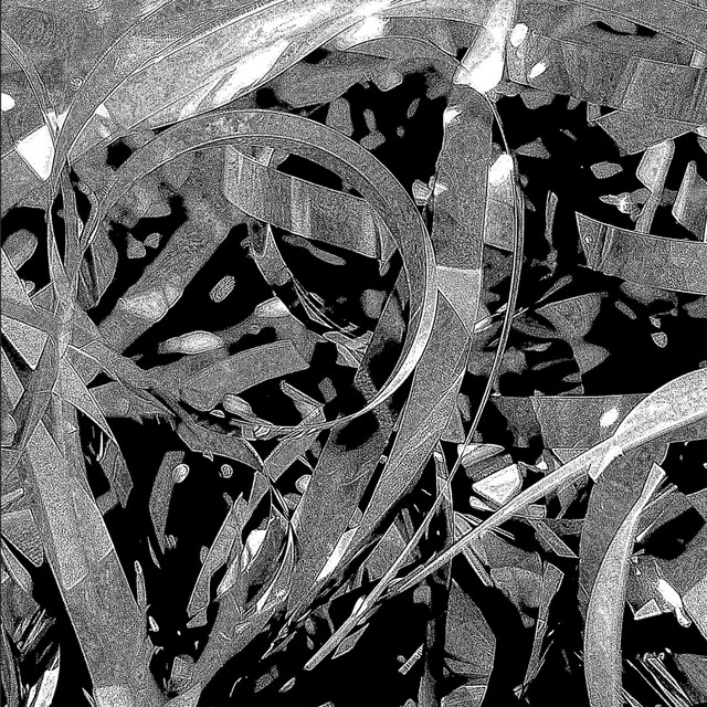 Dismantle cover art