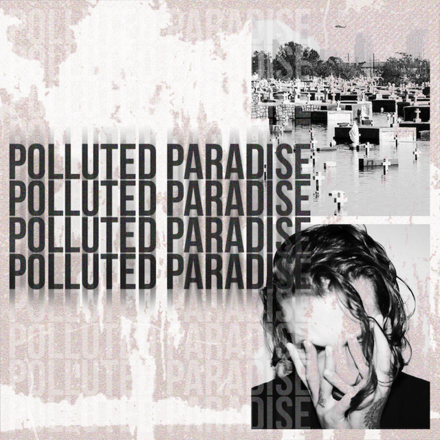 Polluted Paradise 4 cover