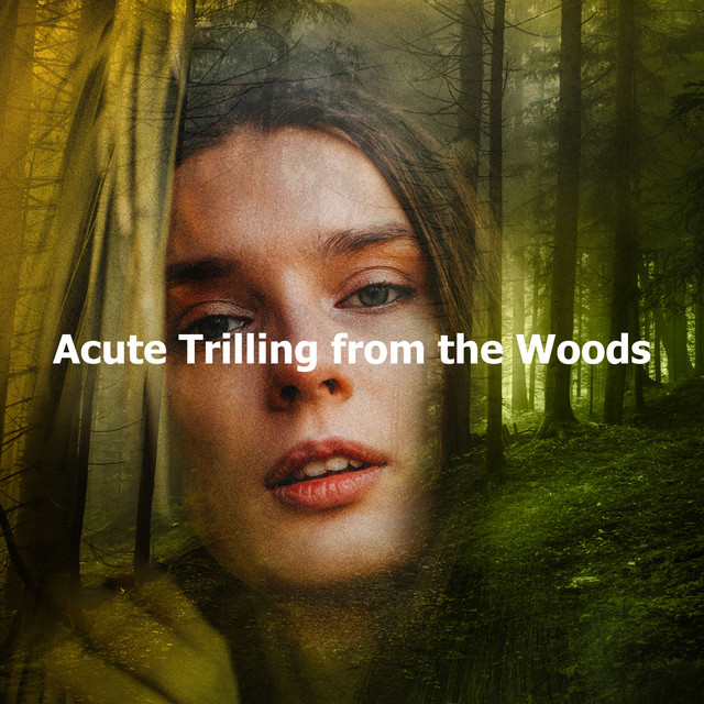 Acute Trilling from the Woods cover art