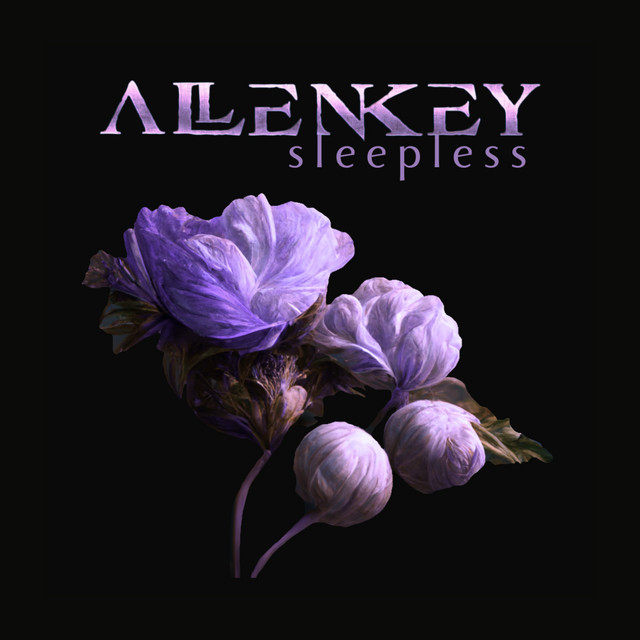 Sleepless cover