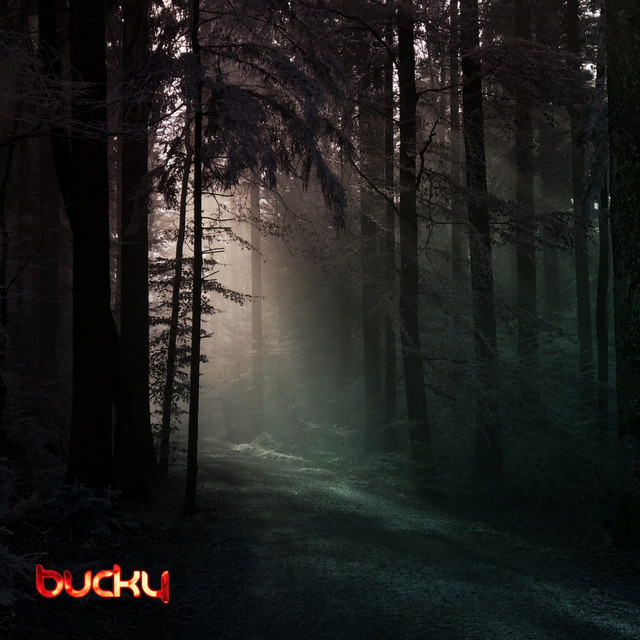 Embers cover art