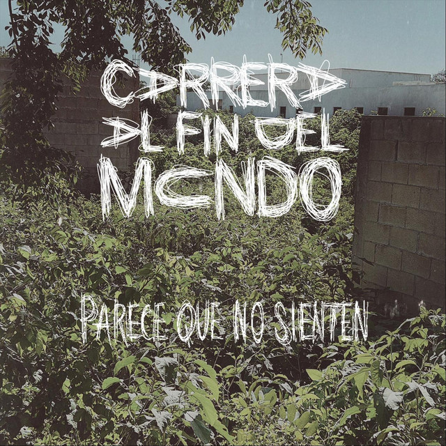 Parece que no sienten album image