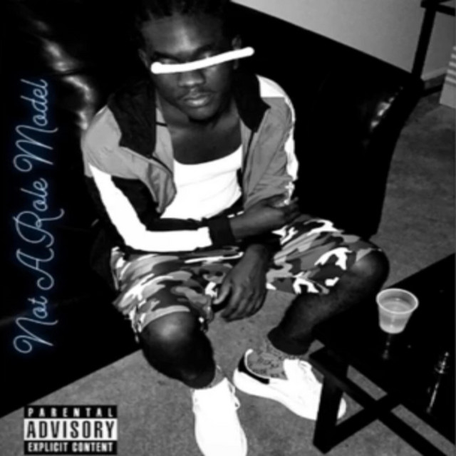 Not A Role Model cover art