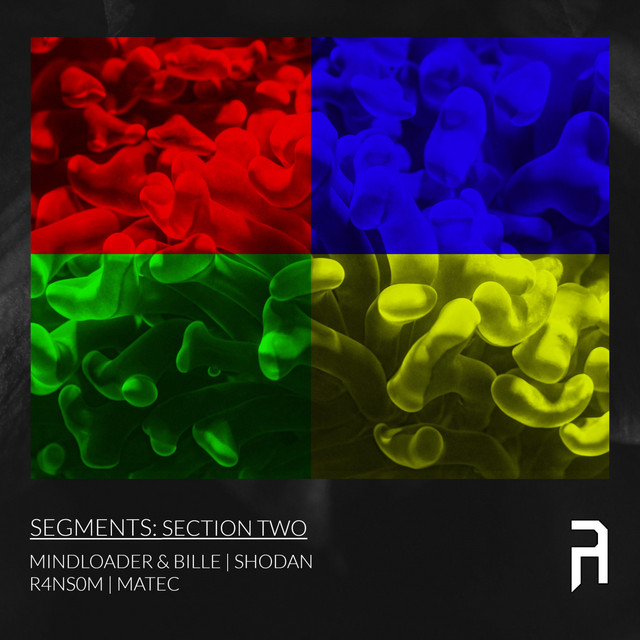 Segments: Section Two cover art