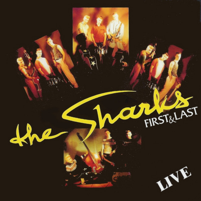 First And Last cover art