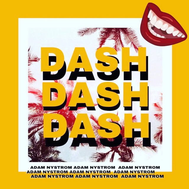 Dash cover art