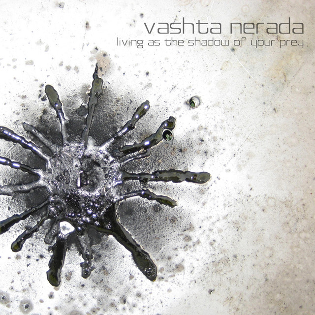 The Vashta Nerada Photo