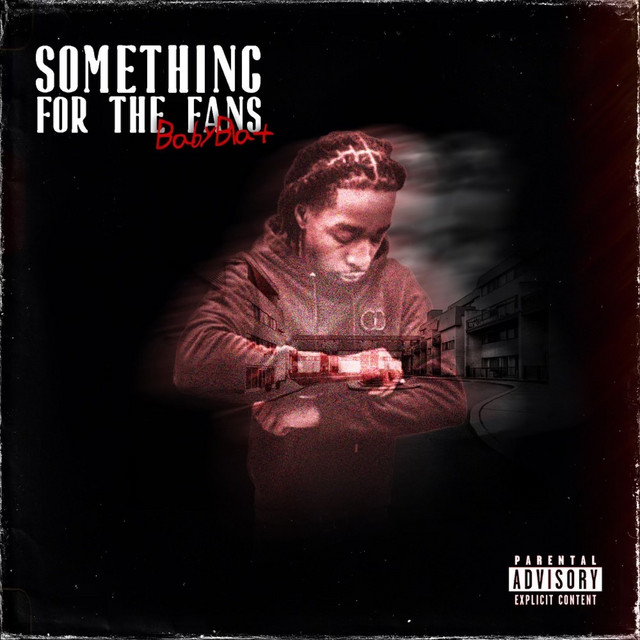 Something for the Fans cover art