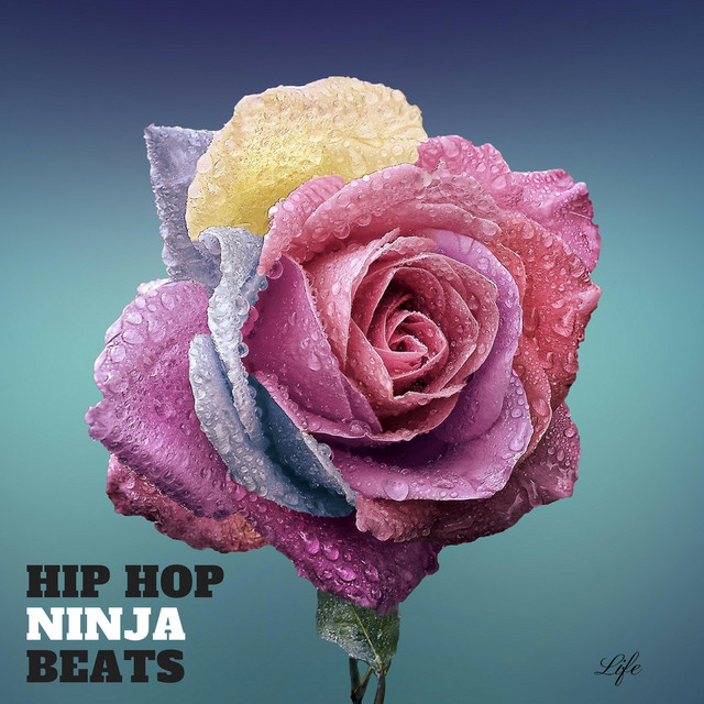 Life cover art