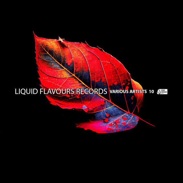 Various Artists 10 cover art