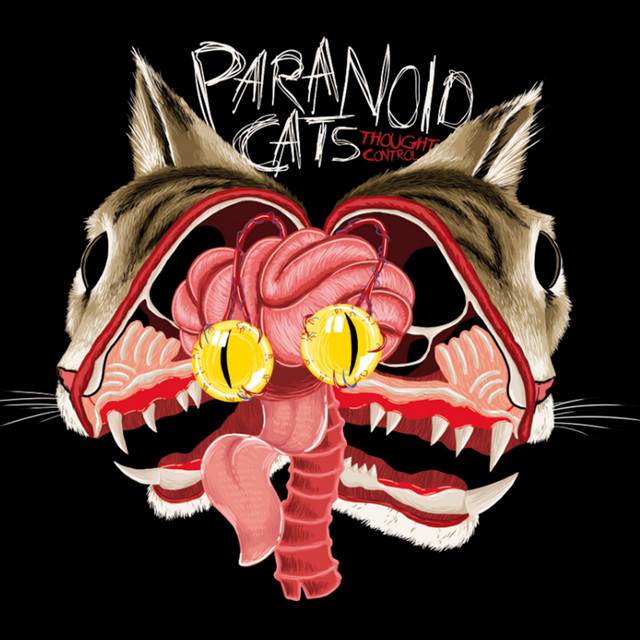 Paranoid Cats